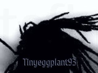 Tinyeggplant93