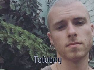 Tofu_boy