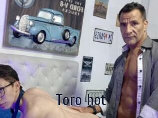 Toro_hot