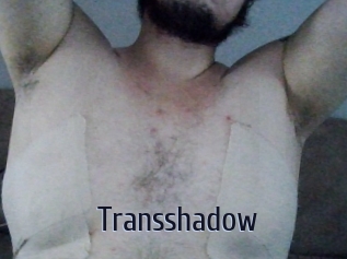 Transshadow