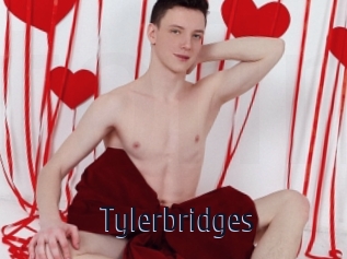 Tylerbridges