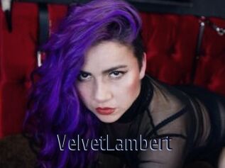 VelvetLambert