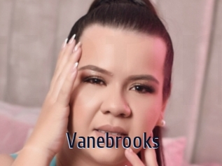 Vanebrooks