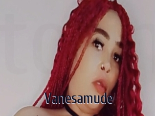 Vanesamude