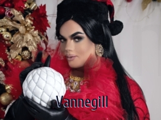 Vannegill