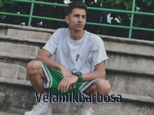 Velamikbarbosa