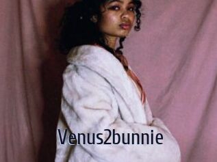 Venus2bunnie