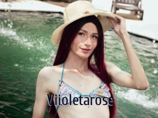 Viioletarose