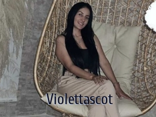 Violettascot