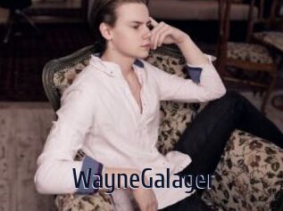 WayneGalager