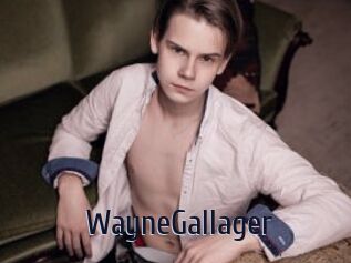 WayneGallager