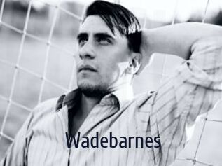 Wadebarnes