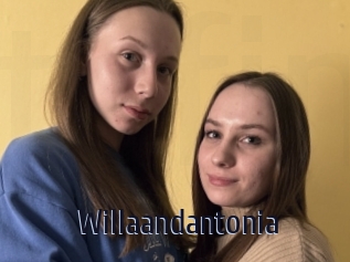 Willaandantonia