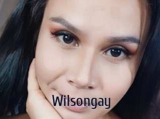 Wilsongay