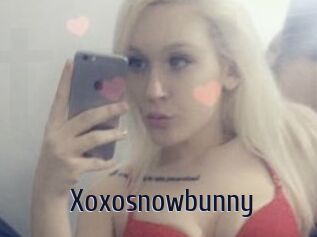 Xoxosnowbunny