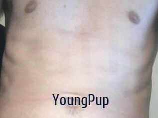 YoungPup