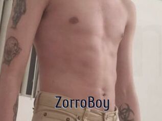 ZorroBoy