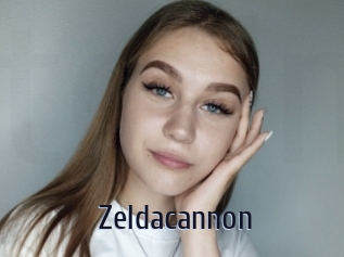 Zeldacannon