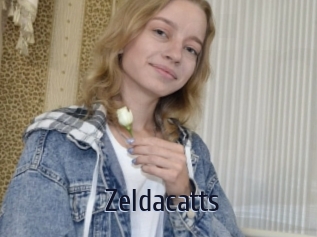 Zeldacatts