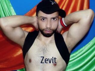 Zevit