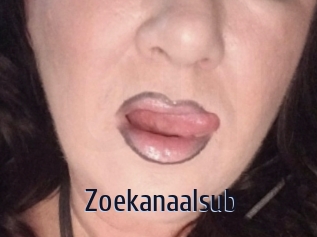 Zoekanaalsub